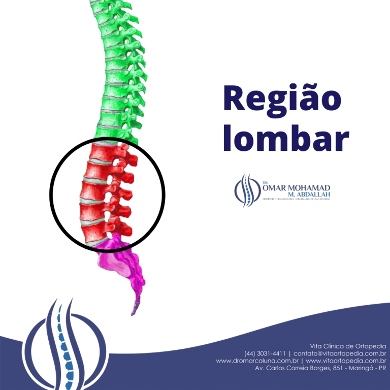 Região Lombar | Dr. Omar